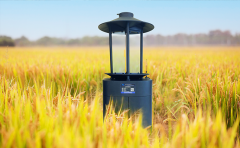 高标准农田建设必备品：智能虫情测报灯